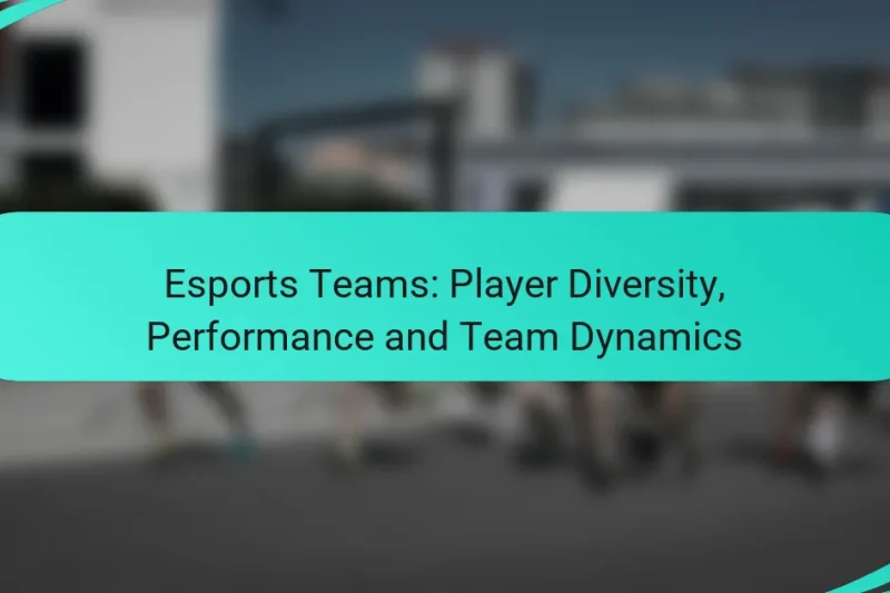 Esports Teams: Player Diversity, Performance and Team Dynamics