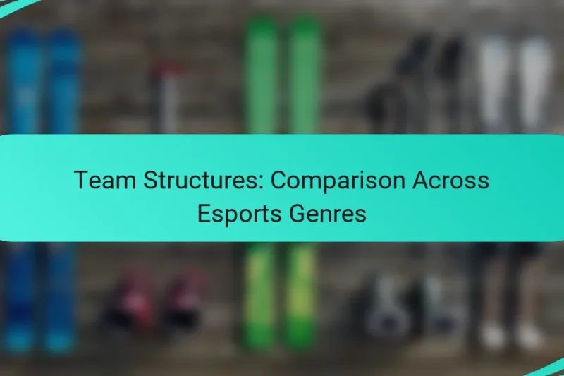 Team Structures: Comparison Across Esports Genres