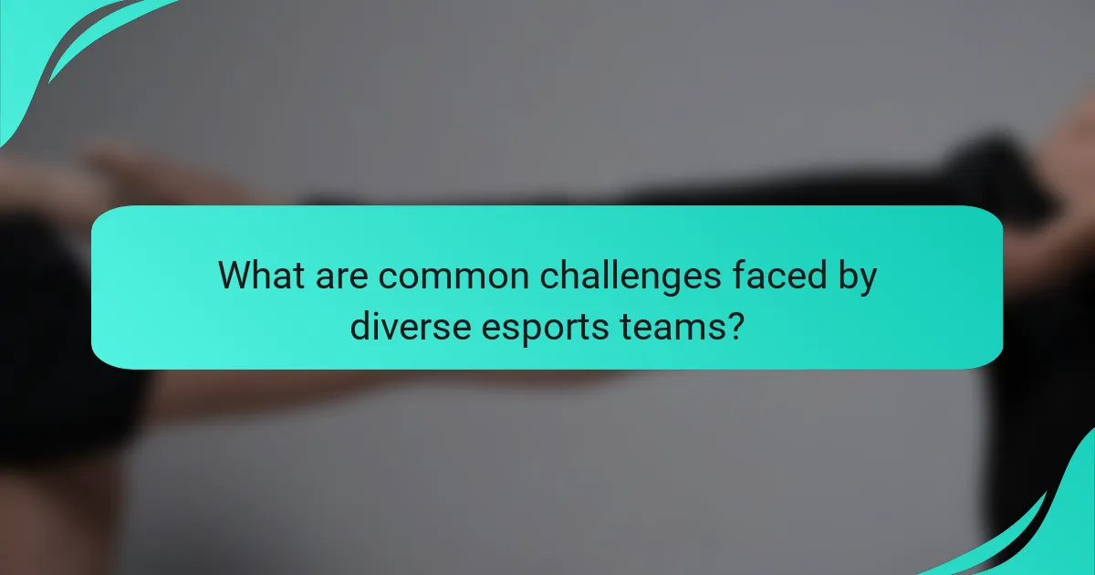 What are common challenges faced by diverse esports teams?