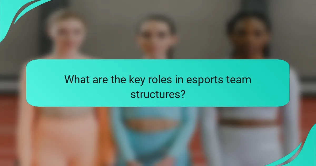 What are the key roles in esports team structures?